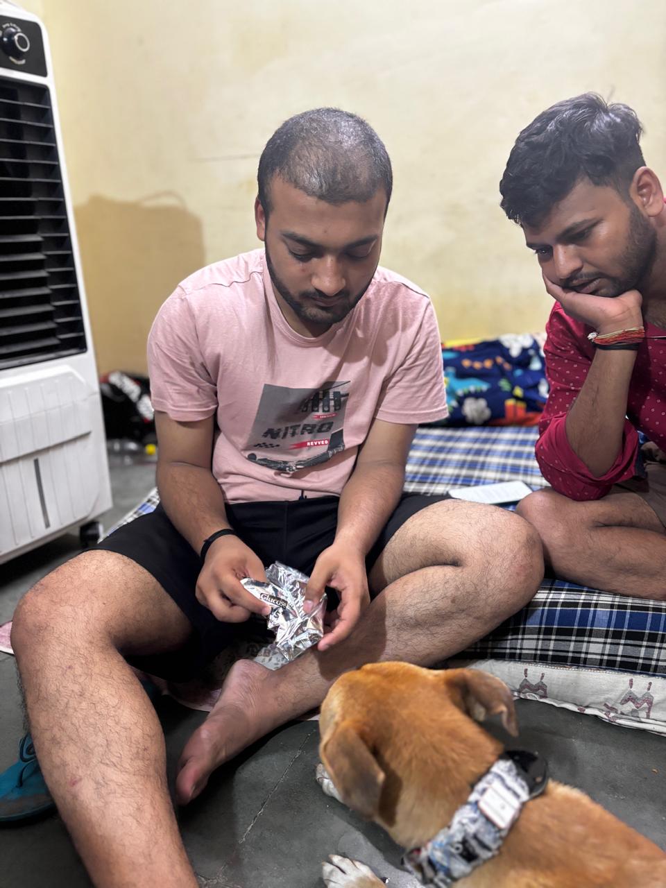 A founder testing the collar on a friendly dog
